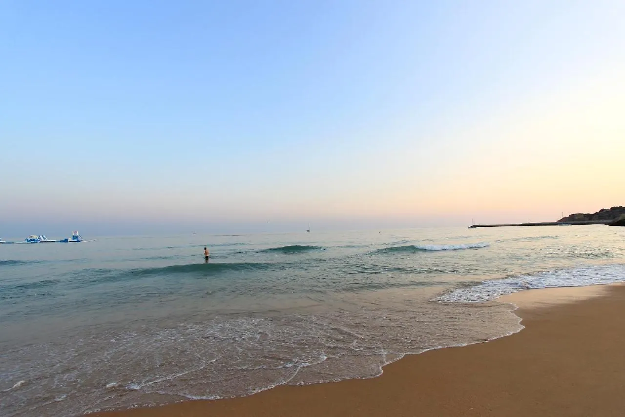 Cool Grey Albufeira Apartment Portugal