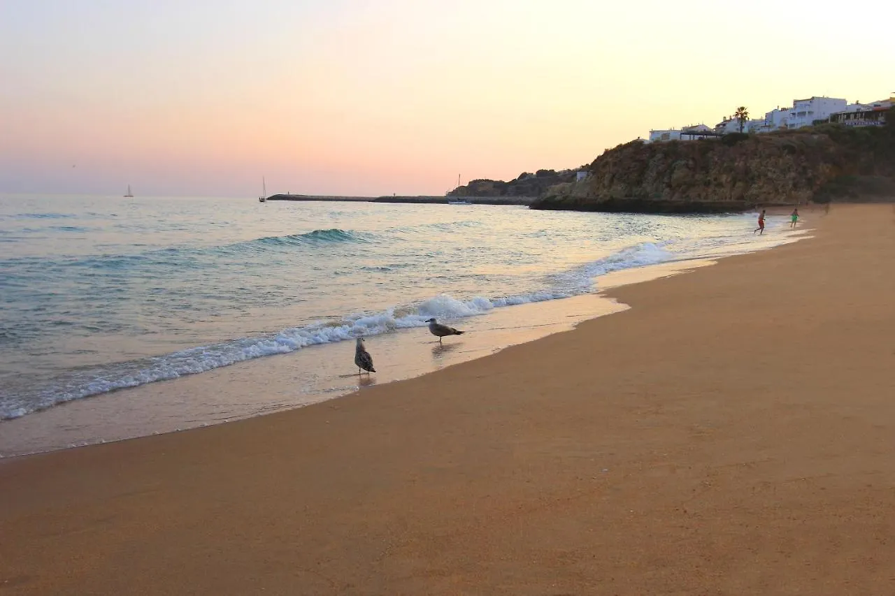 Cool Grey Albufeira Apartment
